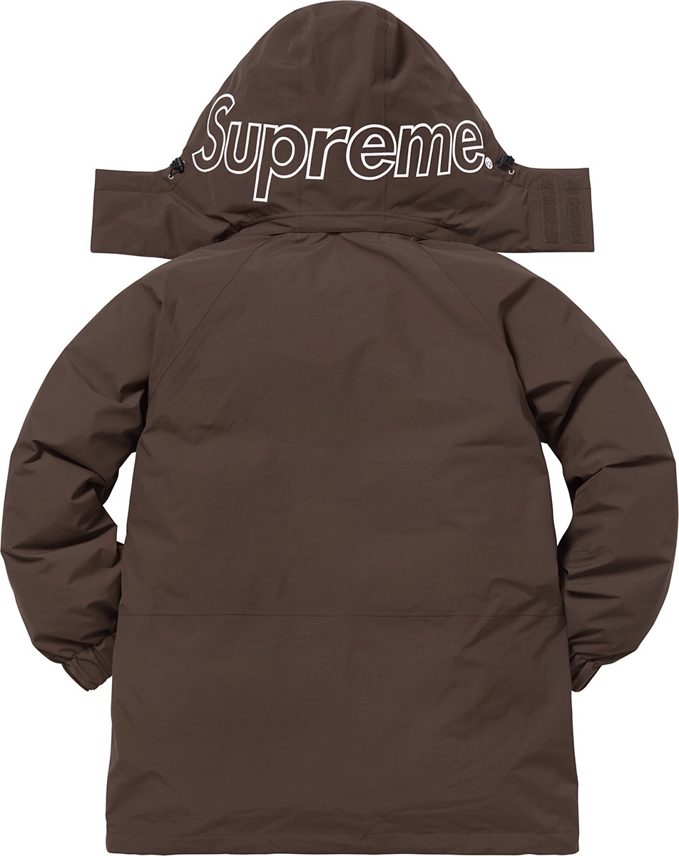 GORE-TEX 700-Fill Down Parka view 2